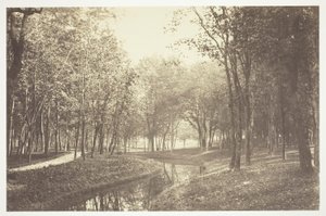 Nieuprawny autorstwa Charles Marville