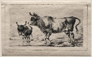 Krowa i tyłek autorstwa Charles Meryon
