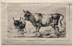 Krowa i Osioł, 1849. autorstwa Charles Meryon