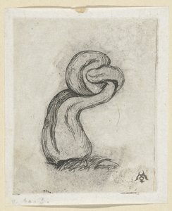 Misvormde paddestoel (Cryptogamae) Kryptogra Malingre autorstwa Charles Meryon