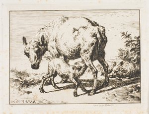 Owca z dwoma owcami autorstwa Charles Meryon