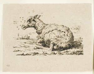 Owce i muchy autorstwa Charles Meryon