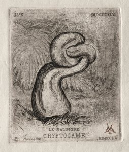 Chory Kryptogam, 1860. autorstwa Charles Meryon