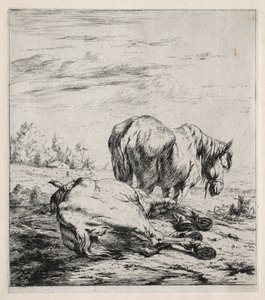 Dwa konie, 1850. autorstwa Charles Meryon
