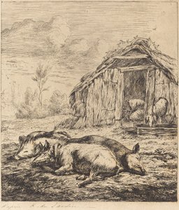 Trzy świnie leżące przed stajnią (trzy świnie leżące przed chlewem) autorstwa Charles Meryon after Karel Dujardin