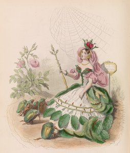 Animowane Kwiaty, 1867.