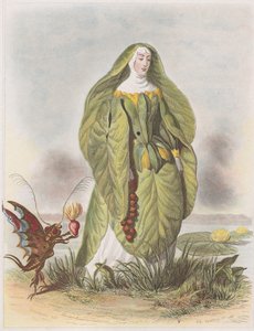 Lilia wodna, z Les Fleurs Animées, 1847.