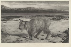 Kozioł ofiarny autorstwa Charles Mottram after William Holman Hunt