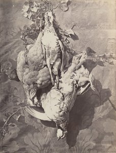 [Martwa natura z ptaszkami łownymi], 1859. autorstwa Charles Nègre
