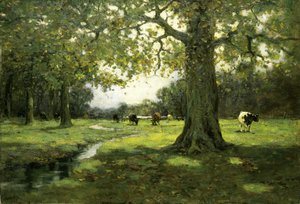 Łąkowy Potok, ca. 1912. autorstwa Charles P. Gruppe