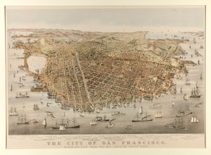Miasto San Francisco - Ptak autorstwa Charles Parsons