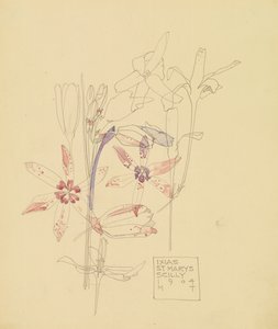 Ixias autorstwa Charles Rennie Mackintosh