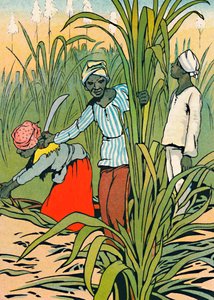 W pracy wśród trzciny cukrowej, 1912 autorstwa Charles Robinson