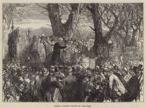 Szpitalne sobotnie spotkanie w Hyde Parku autorstwa Sir John Charles Robinson
