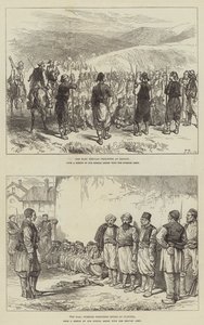 Szkice wojny autorstwa Sir John Charles Robinson