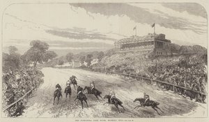 Wyścigi w Alexandra Park, Muswell Hill autorstwa Sir John Charles Robinson