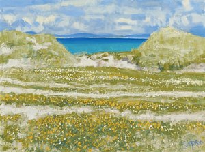 Glimpse of Harris, 2014 (olej na płótnie) autorstwa Charles Simpson