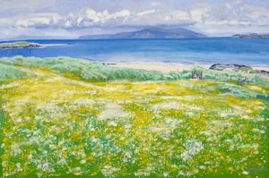 Machair, North End Iona, 2015 (olej na płótnie) autorstwa Charles Simpson