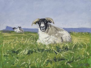 West Coast Sheep, 2017 (olej na płótnie)