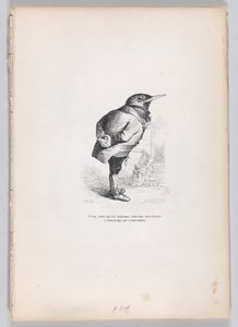 Stary, złamany, wychudzony, kapryśny, ale dobry, a jednocześnie oddany i domowy z temperamentu..., ca. 1837-47.