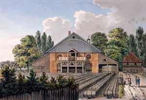 Ogrody Cupera, Lambeth, Londyn, 1801 r. autorstwa Charles Tomkins