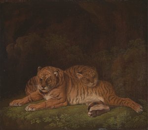 Tigerspolish autorstwa Charles Towne