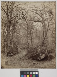 Fontainebleau, ok. 1870 r. (druk albumowy) autorstwa Charles Victor Famin