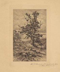 Krajobraz z owcami autorstwa Charles Volkmar