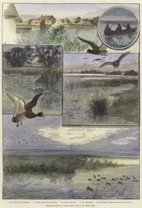 Strzelanie do kaczek na Long Point Island autorstwa Charles Whymper