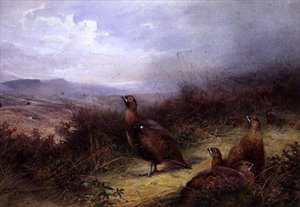 Cietrzew w Highlands autorstwa Charles Whymper