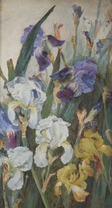 Irysy, 1882 autorstwa Charlotte Hodder