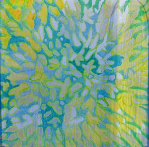 Acrapora, 2000 (olej na zaprawie)