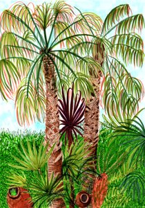 Barcelona Palms, 2017 (pędzelki) autorstwa Charlotte Orr