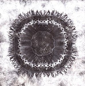 Plant Cells, 2019 (trawienie suchej temperatury)