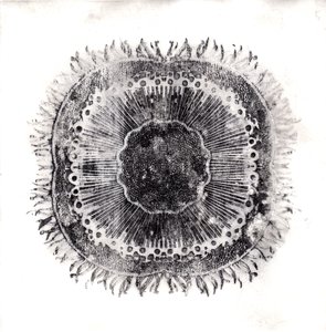 Plant Cells, 2019 (trawienie suchej temperatury) autorstwa Charlotte Orr
