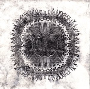 Plant Cells, 2019 (trawienie suchej temperatury)