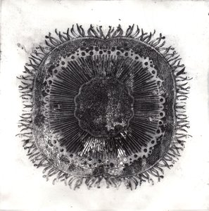 Plant Cells, 2019 (trawienie suchej temperatury)