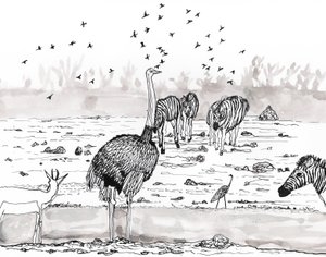 Safari 2, 2018 (tusz i akwarela) autorstwa Charlotte Orr