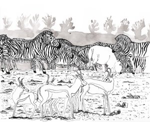 Safari 3, 2018 (tusz i akwarela) autorstwa Charlotte Orr