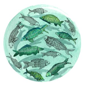 Small Fish Big Pond, 2018 (pióro i atrament, akwarela i cyfrowe)