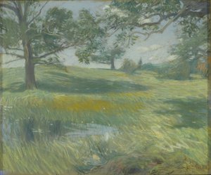 Łąki, ok. 1900-10 (pastel na płótnie) autorstwa Childe Frederick Hassam