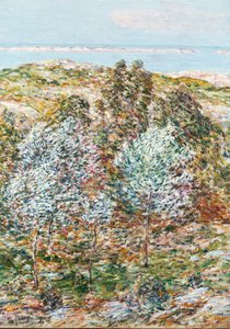 Wiosenna wizja autorstwa Childe Frederick Hassam