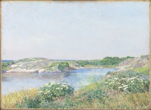 Mały Staw, Appledore