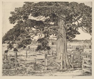  autorstwa Childe Hassam