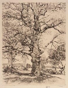 Wayside Inn Oaks in Spring autorstwa Childe Hassam