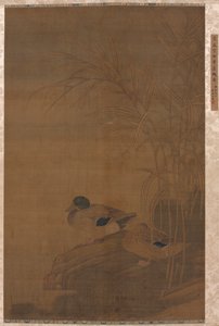 Kaczki pod trzcinami autorstwa China, Ming dynasty