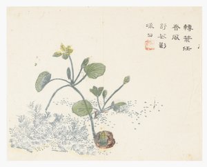 Ogród z nasion gorczycy autorstwa Chinese School