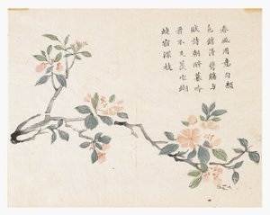 Ogród z nasion gorczycy autorstwa Chinese School
