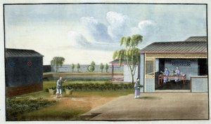 Sortowanie herbaty (wc na papierze) autorstwa Chinese School