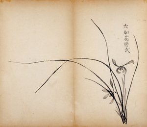 Dziesięć bambusowych odbitek studyjnych, 1643 (drzew) autorstwa Chinese School